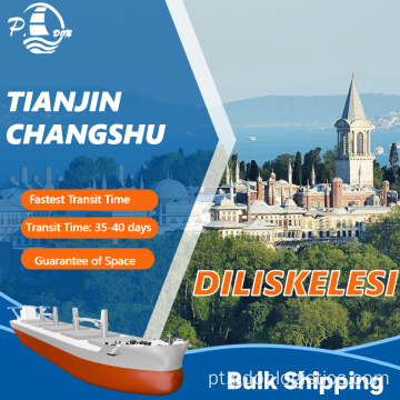 Transporte a granel de Tianjin para Diliskelesi